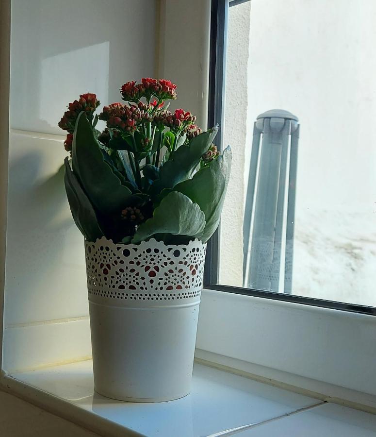 Cozy Studio In Central Lisboa Kültér fotó